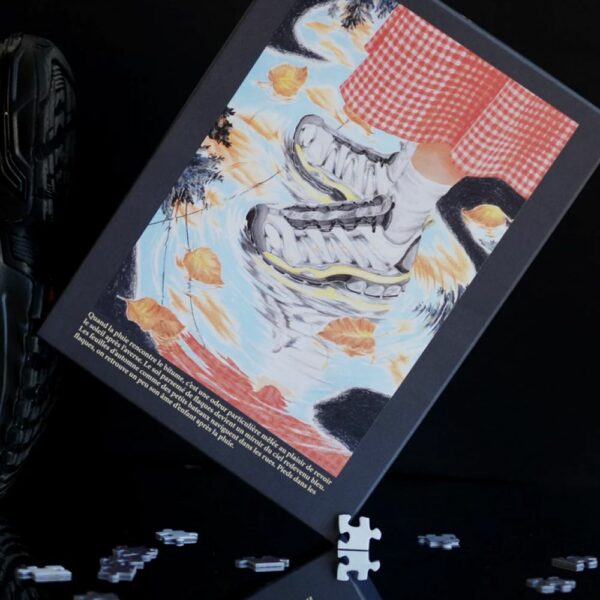 PUZZLE APRES LA PLUIE - JOUR FERIE – Image 2