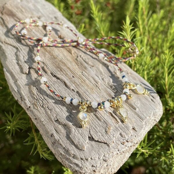 COLLIER ANDREA - CLO & LOU – Image 2