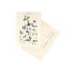CARTE POSTALE FLEURS BLEUES