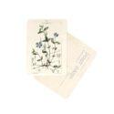 CARTE POSTALE FLEURS BLEUES