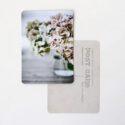 CARTE POSTALE HORTENSIAS