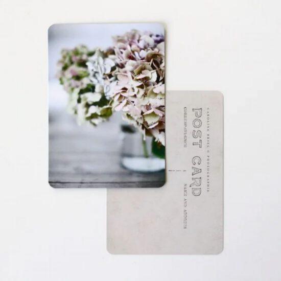 CARTE POSTALE HORTENSIAS