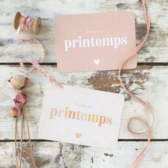 CARTE POSTALE BONJOUR LE PRINTEMPS / ROSE DE MARS- CINQMAI