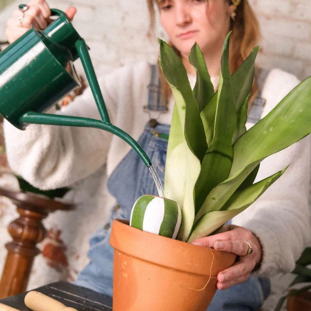 TRIO MINI OLLAS RAYES - PEPIN – Image 2