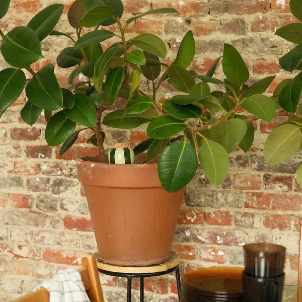 OLLA VERT FONCE & VERT CLAIR - PEPIN – Image 3